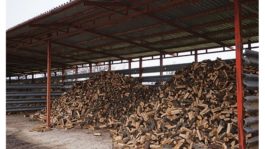 ξύλα-συμβουλές