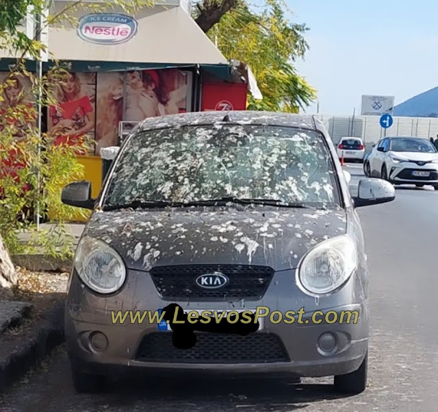 Λέσβος: Αυτοκίνητο στην προκυμαία γεμάτο κουτσουλιές – ΦΩΤΟ