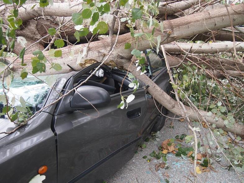 Πάτρα: Ριπές ανέμων εντάσεως 9 μποφόρ σαρώνουν την Πάτρα- Έπεσαν δέντρα