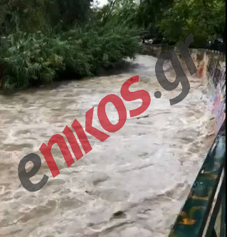 Κακοκαιρία Μπάλλος Πικροδάφνη