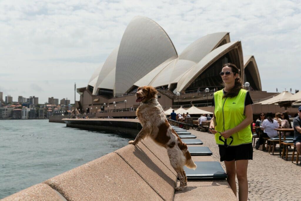Αυστραλία: Καραντίνα τέλος για το Σίδνεϊ ύστερα από τέσσερις μήνες