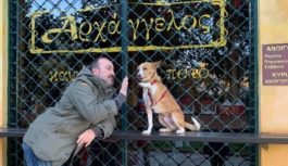 Σωτήρης Λαφαζάνης