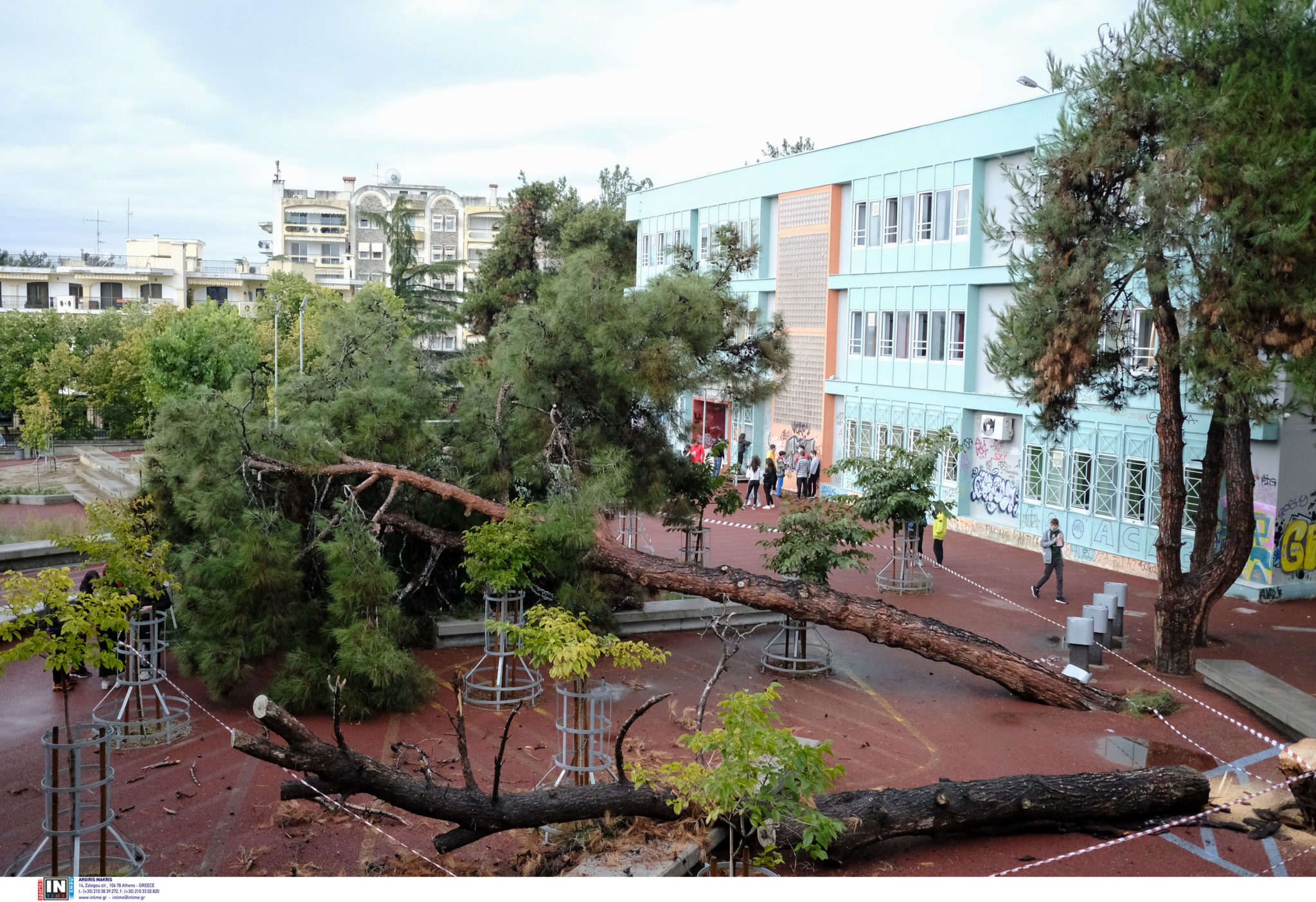 Κακοκαιρία Μπάλλος Θεσσαλονίκη Δένδρο