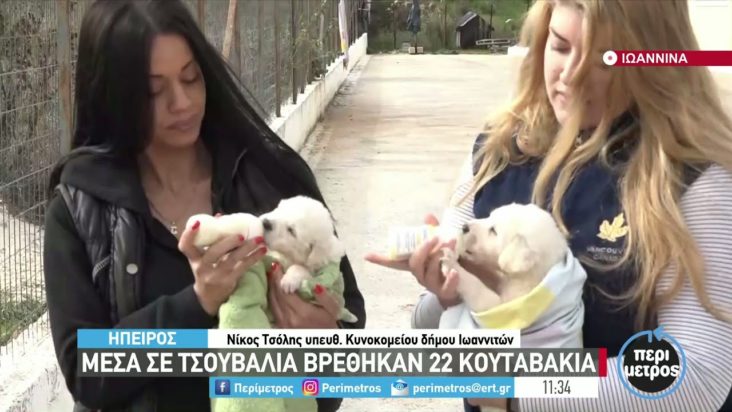 22 κουτάβια βρέθηκαν σε τσουβάλι στα Ιωάννινα