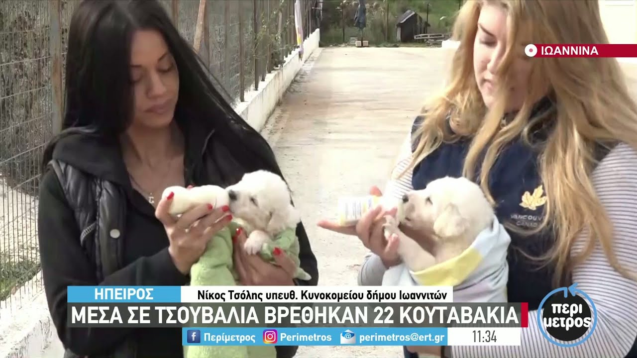 22 κουτάβια βρέθηκαν σε τσουβάλι στα Ιωάννινα