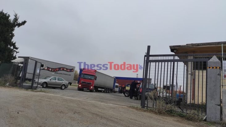 Θεσσαλονίκη - Αναλώσιμοι 4