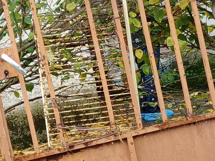 Αγρίνιο δολοφονία