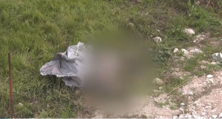 Σκύλος - Σάμος