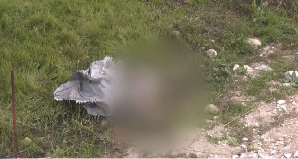 Σκύλος - Σάμος