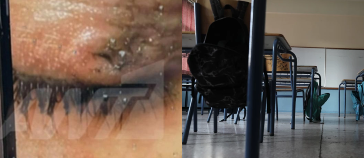 ΕΠΑΛ Δραπετσώνας