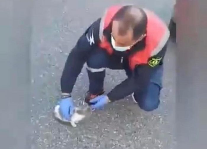 Αγρίνιο: Διασώστες του ΕΚΑΒ προσφέρουν βοήθεια σε άρρωστο γατάκι – ΒΙΝΤΕΟ