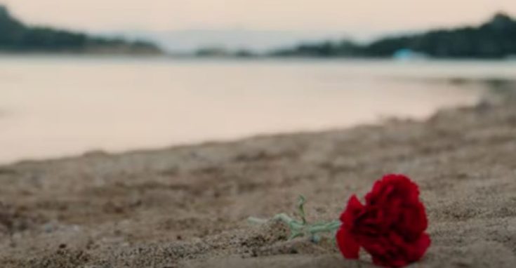 Γαρυφαλλιά