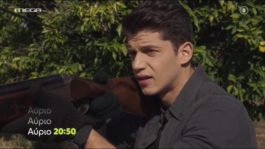 Η Γη της Ελιάς