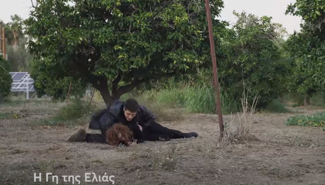 Η Γη της Ελιάς