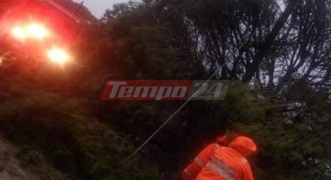 κακοκαιρία- Αχαΐα- πεύκο