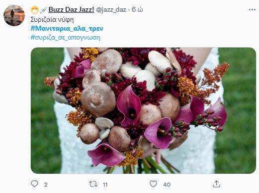 μανιτάρια twitter