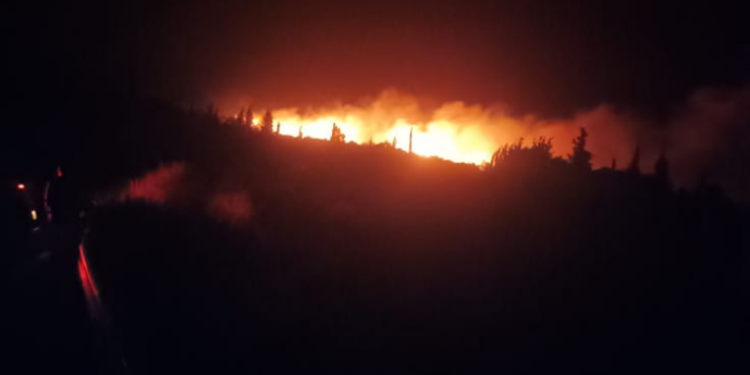 Λευκάδα: Μεγάλη πυρκαγιά σε δασική έκταση στην περιοχή Χορτάτα – ΒΙΝΤΕΟ