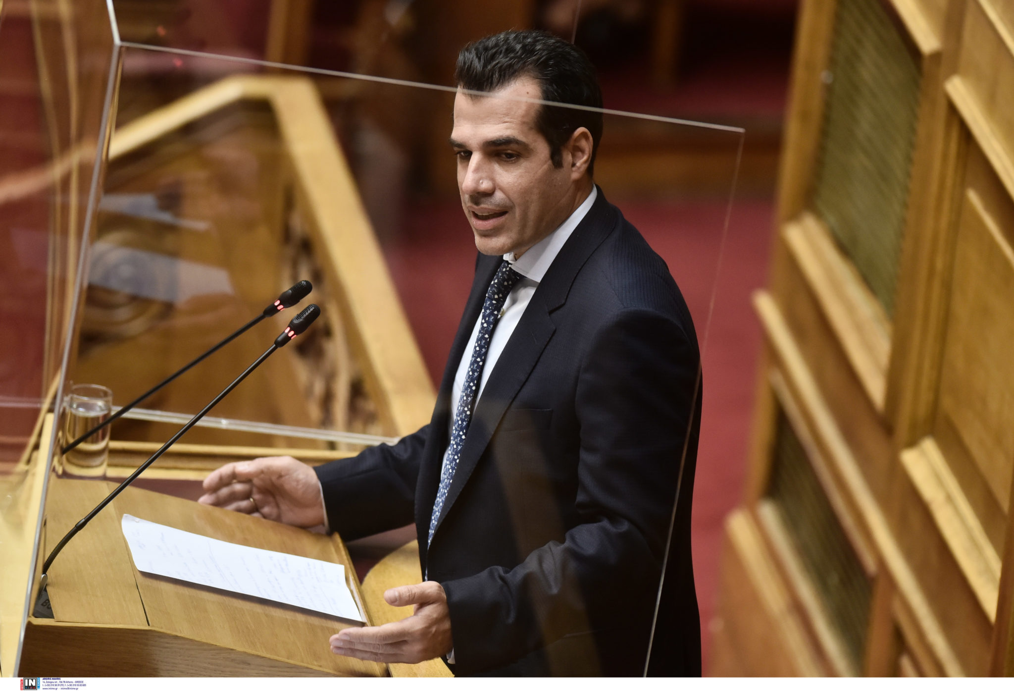 Θάνος Πλεύρης