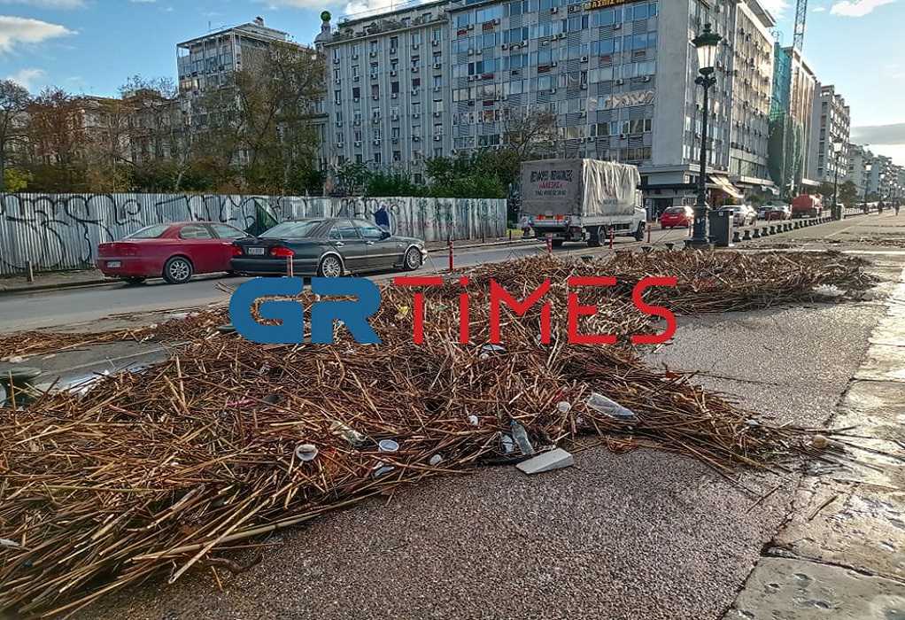 Τα απορρίμματα που ξέβρασε ο Θερμαϊκός στην Θεσσαλονίκη