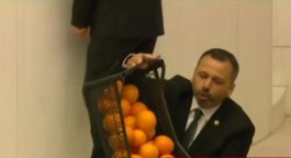 Τουρκία - Βουλή