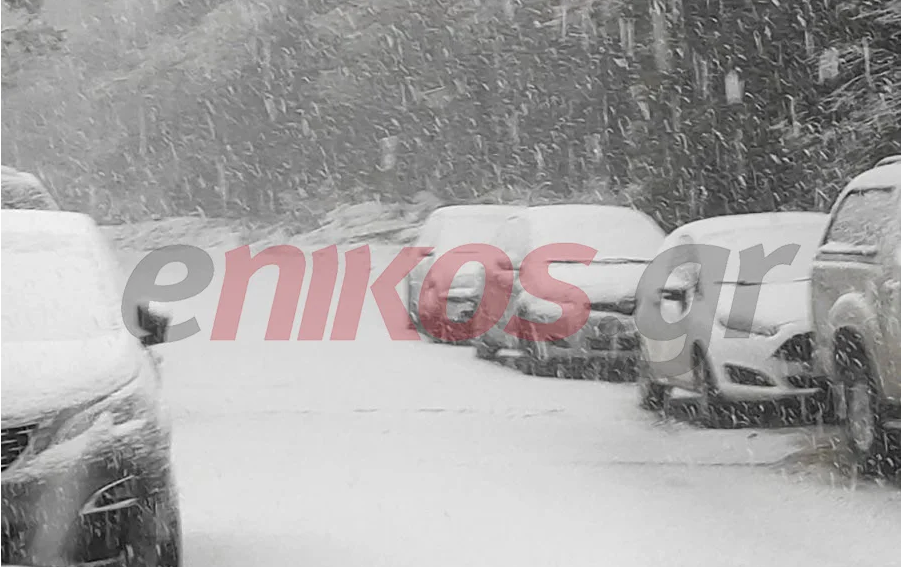 Στα “λευκά” ο Διόνυσος – Μαγικές εικόνες πριν από τα Χριστούγεννα – ΦΩΤΟ αναγνώστη