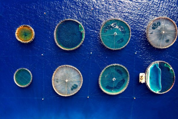 Συνέδριο Ιχθυκαλλιέργειας