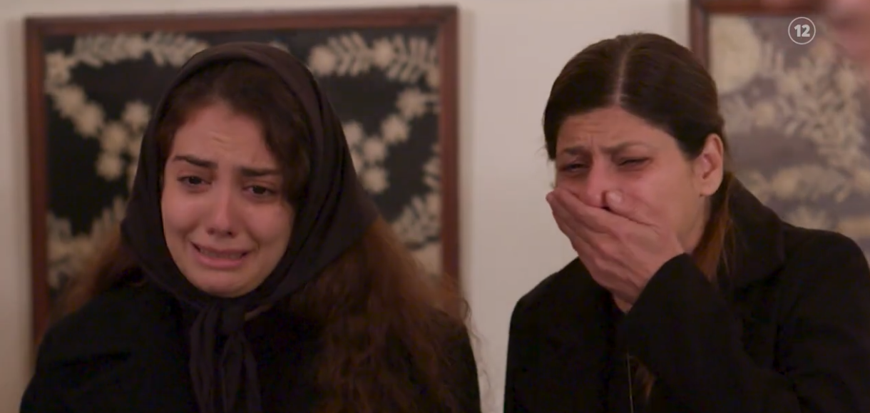 Η Γη της Ελιάς