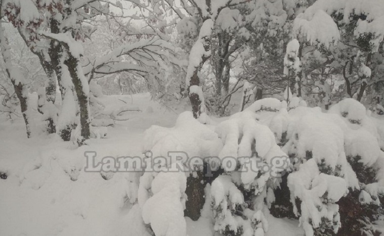 Κακοκαιρία “Κάρμελ”: Ξεπέρασε τους 40 πόντους το χιόνι στην Καρυά των Καμένων Βούρλων