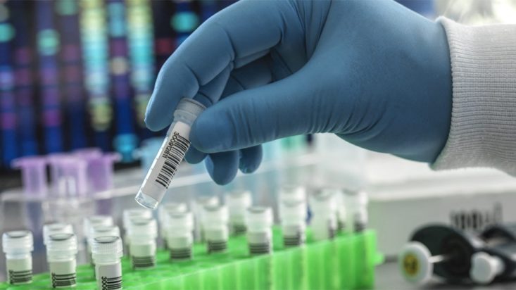 μονοκλωνικά αντισώματα