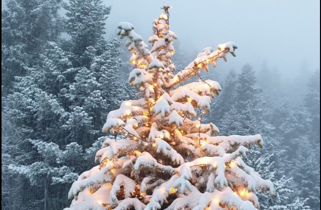 Παρνασσός: Εικόνα βγαλμένη από παραμύθι πριν από τα Χριστούγεννα