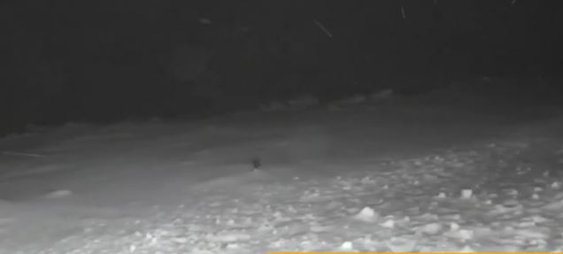 Στα “λευκά” η Πάρνηθα – Πού έχει διακοπεί η κυκλοφορία