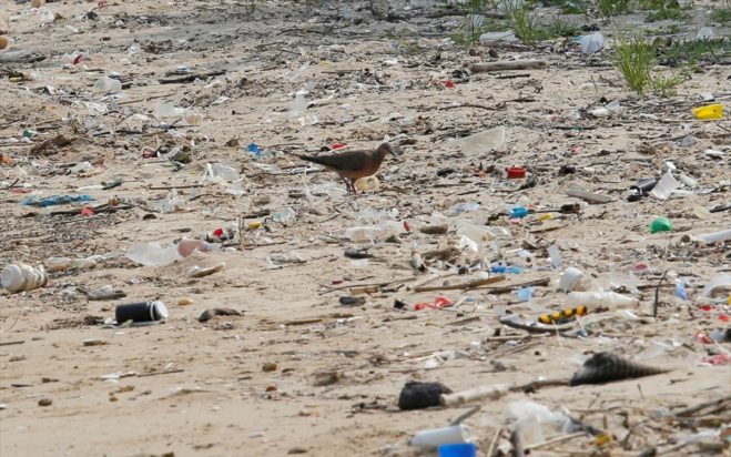 Περιβαλλοντική ζημία