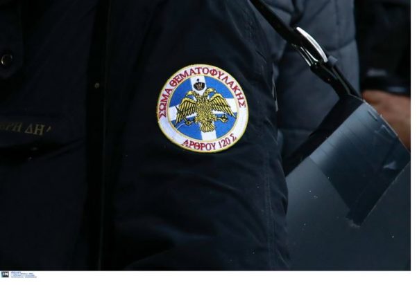 Θεματοφύλακες του Συντάγματος