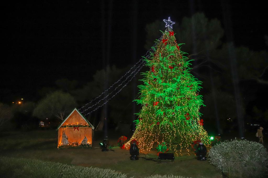 Χριστουγεννιάτικο δέντρο Πεντάγωνο