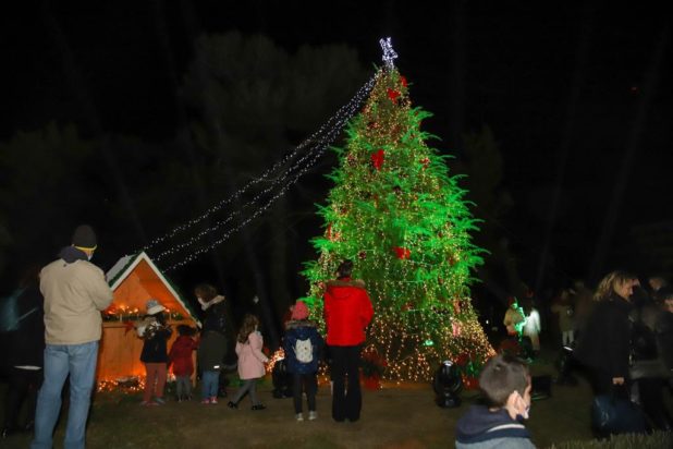 Χριστουγεννιάτικο δέντρο Πεντάγωνο