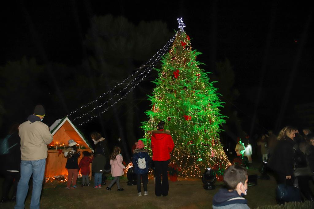 Χριστουγεννιάτικο δέντρο Πεντάγωνο