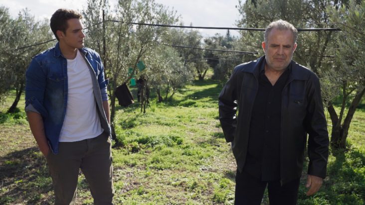 Η Γη της Ελιάς: