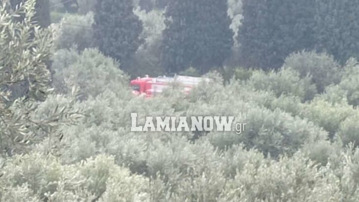 Στυλίδα εξαφάνιση