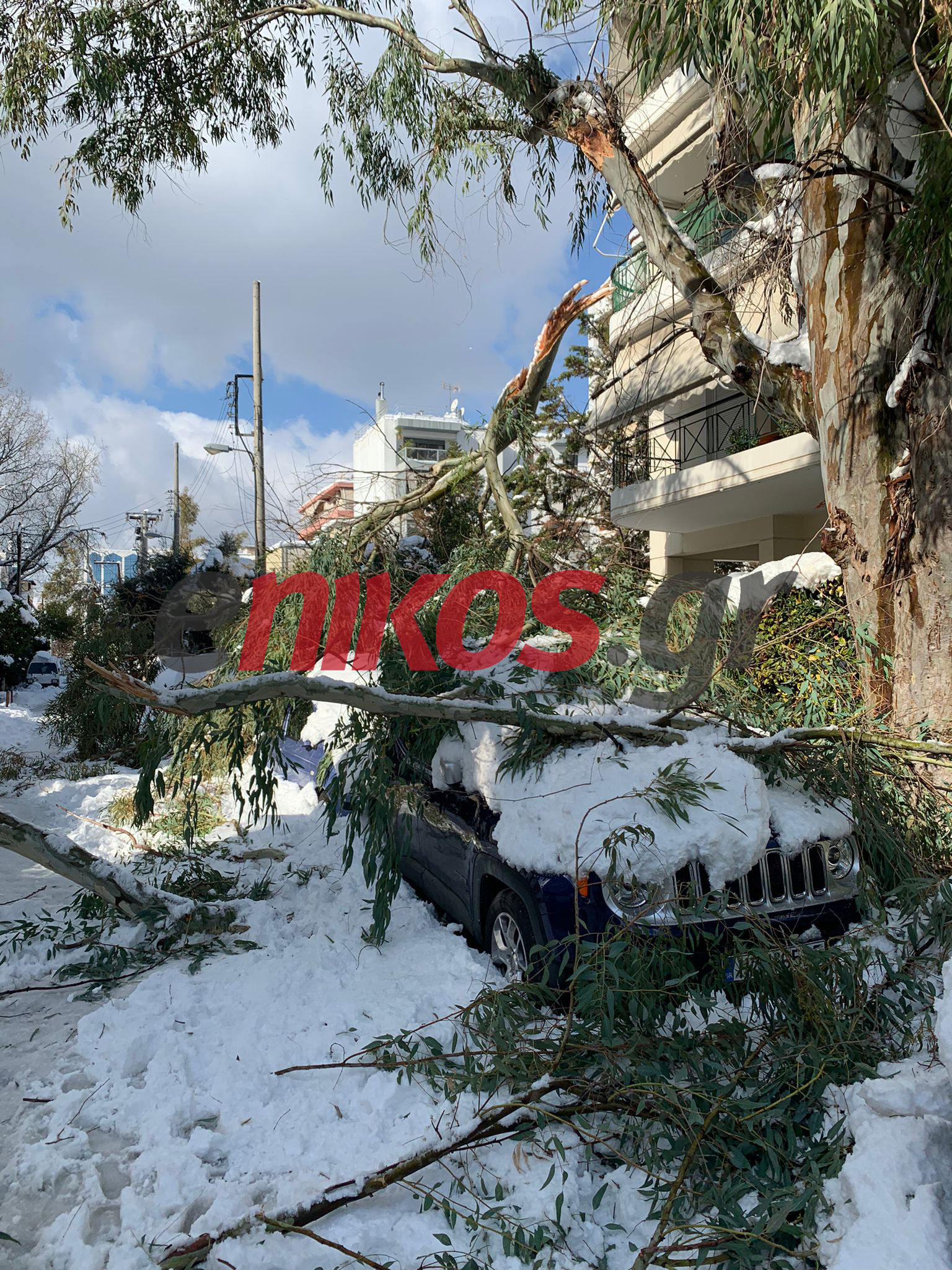 πτώση δέντρων κακοκαιρία