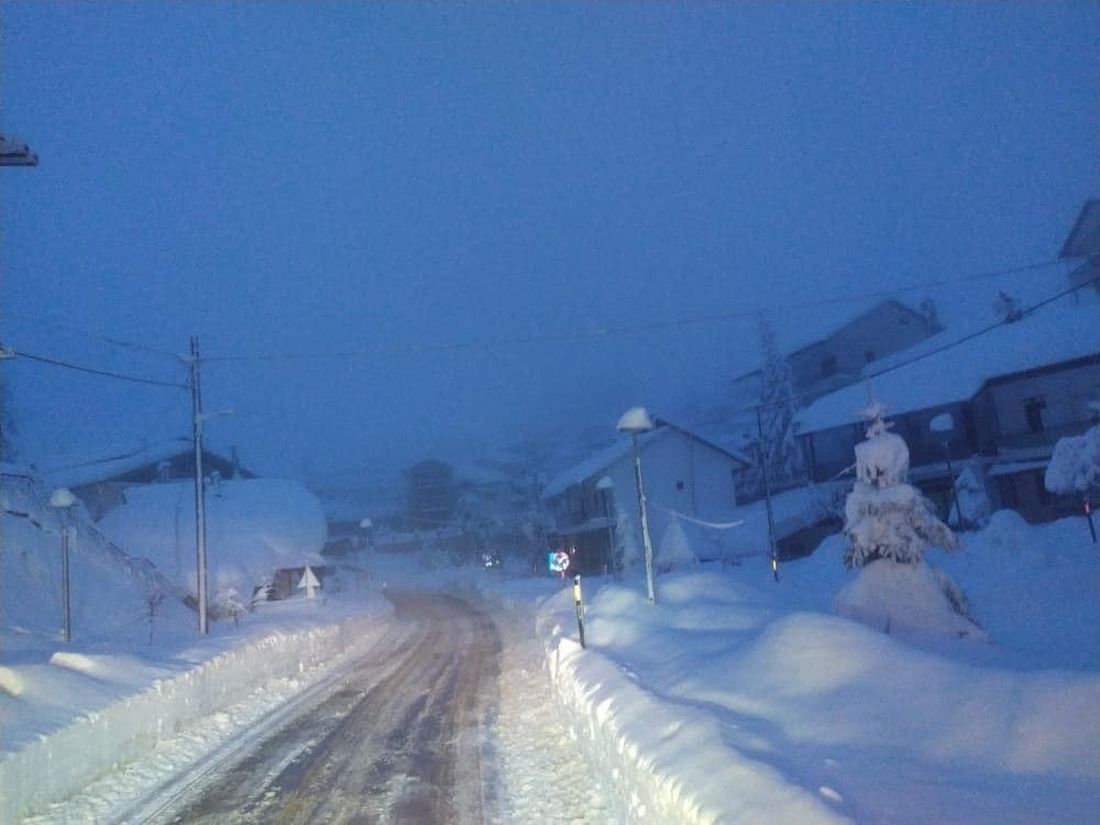 Διομήδης- Σέλι