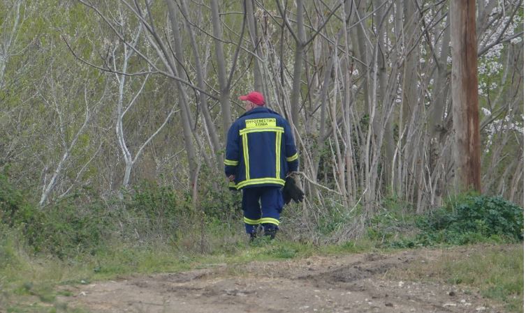 Ελασσόνα - εξαφάνιση