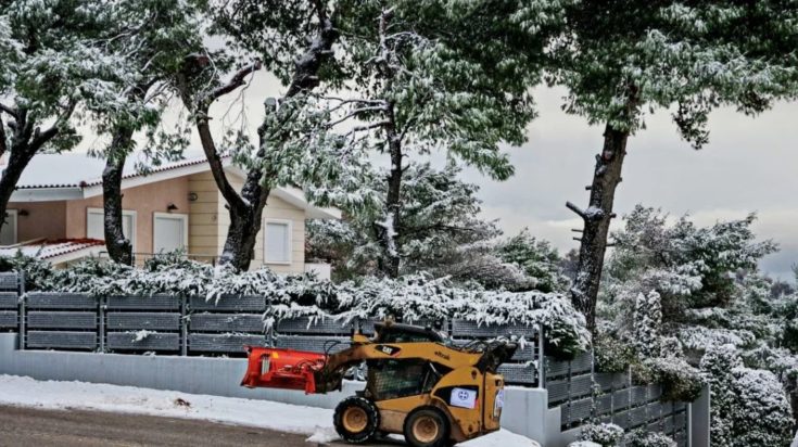 Γιάννης Οικονόμου-αργία