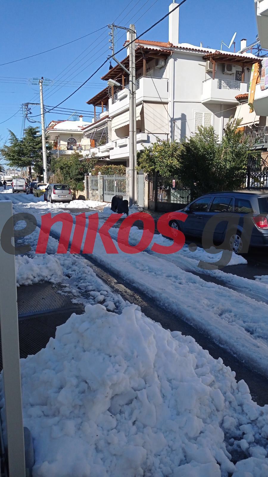 Γέρακας κακοκαιρία