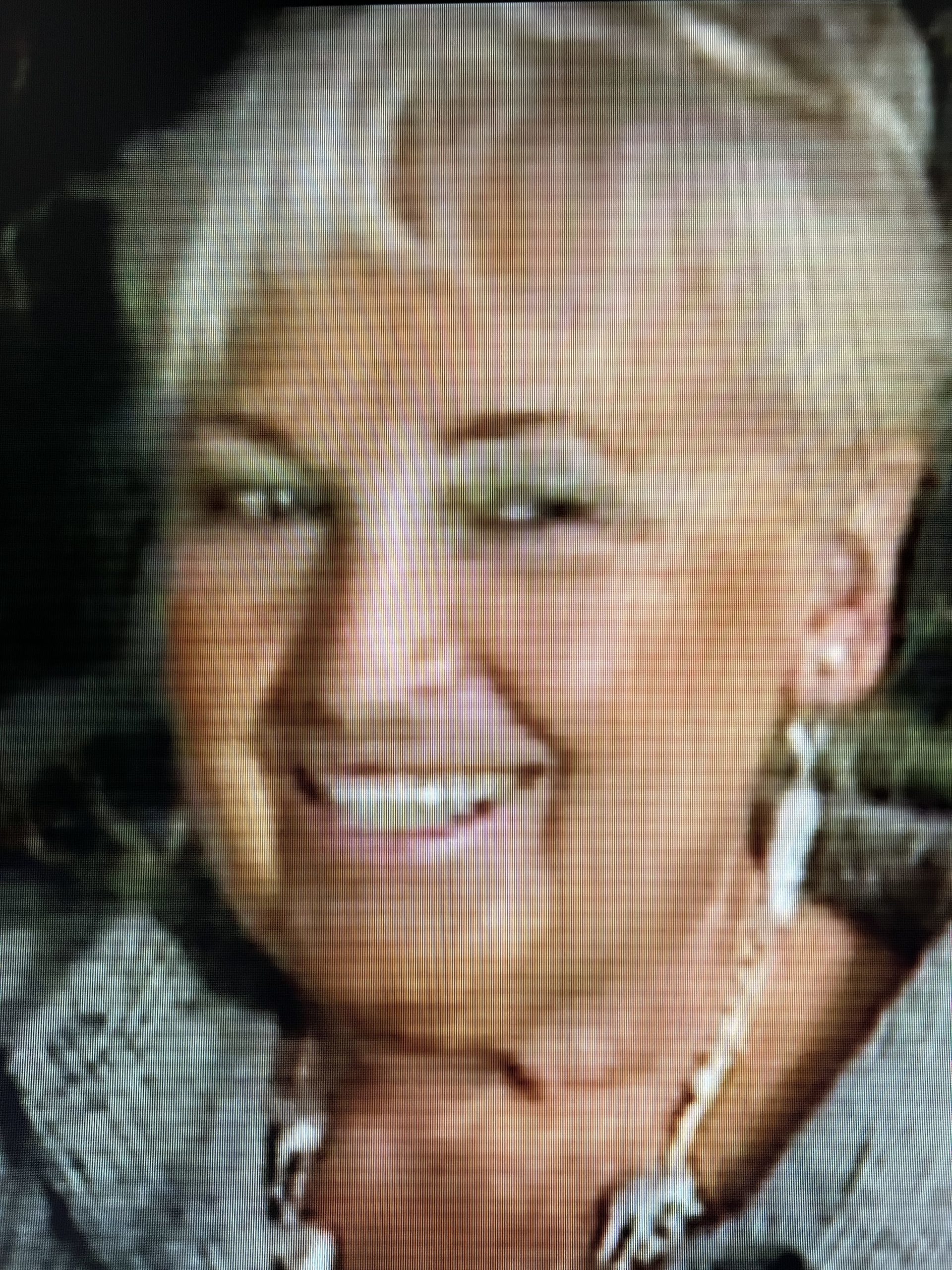 Misha and the Wolves Netflix