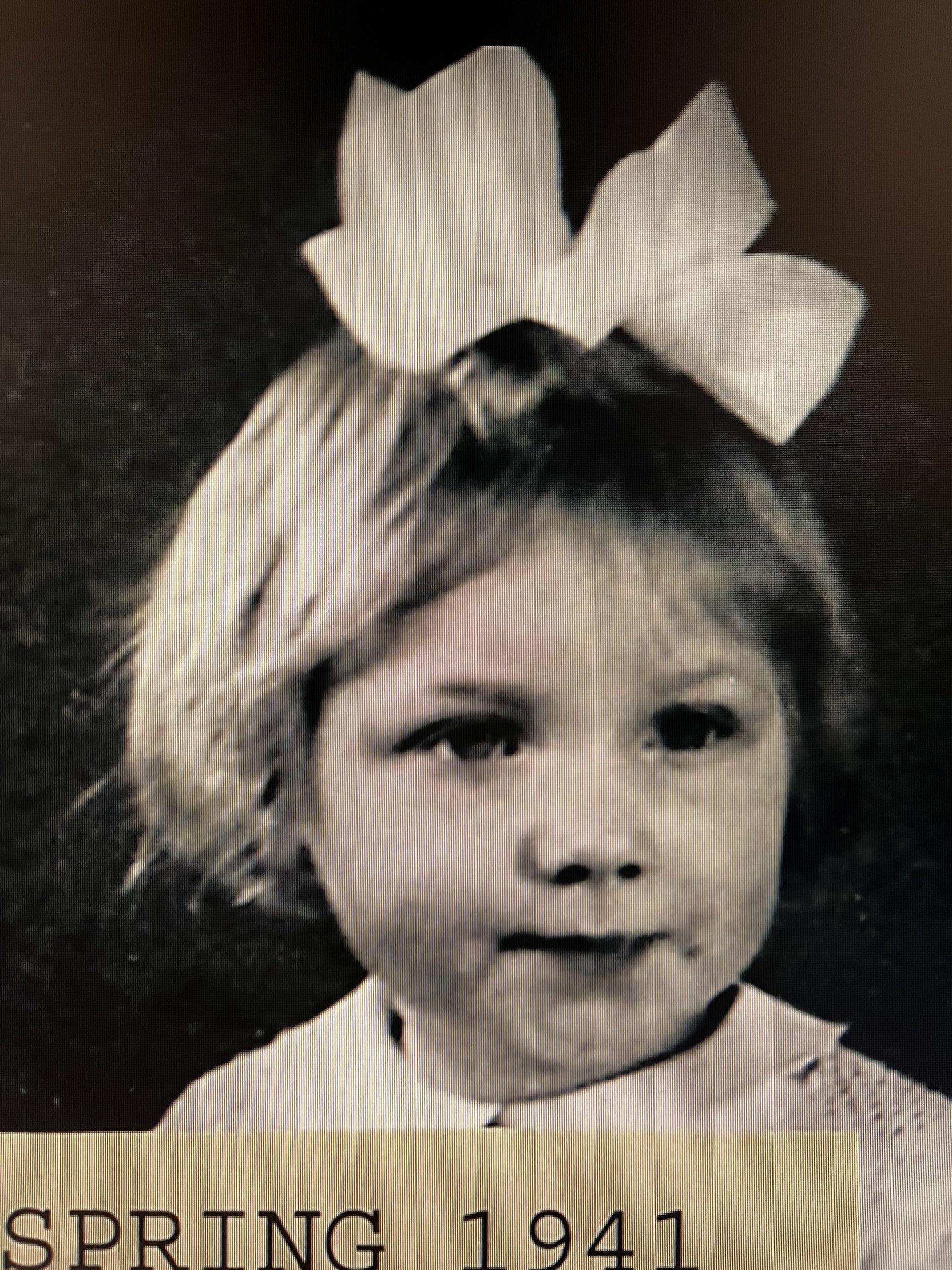 Misha and the Wolves Netflix