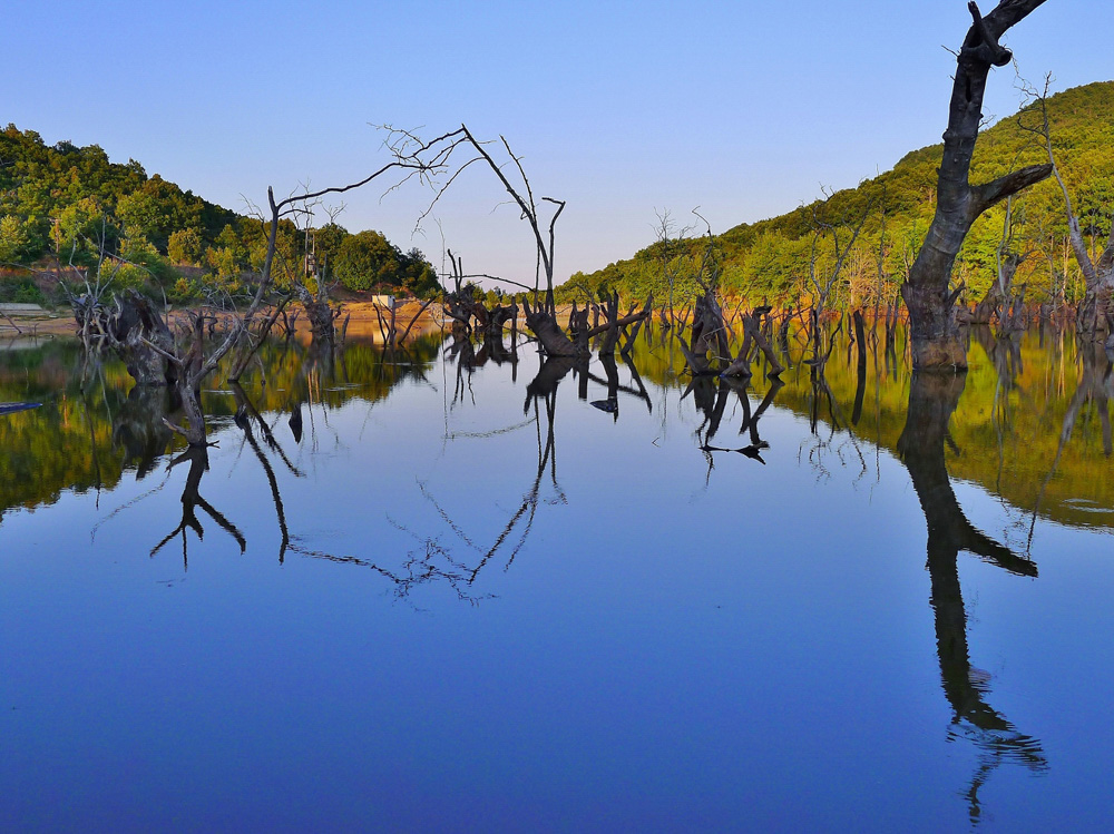 Σκήτη: Η “λίμνη” μέσα στο δάσος που προκαλεί τρόμο