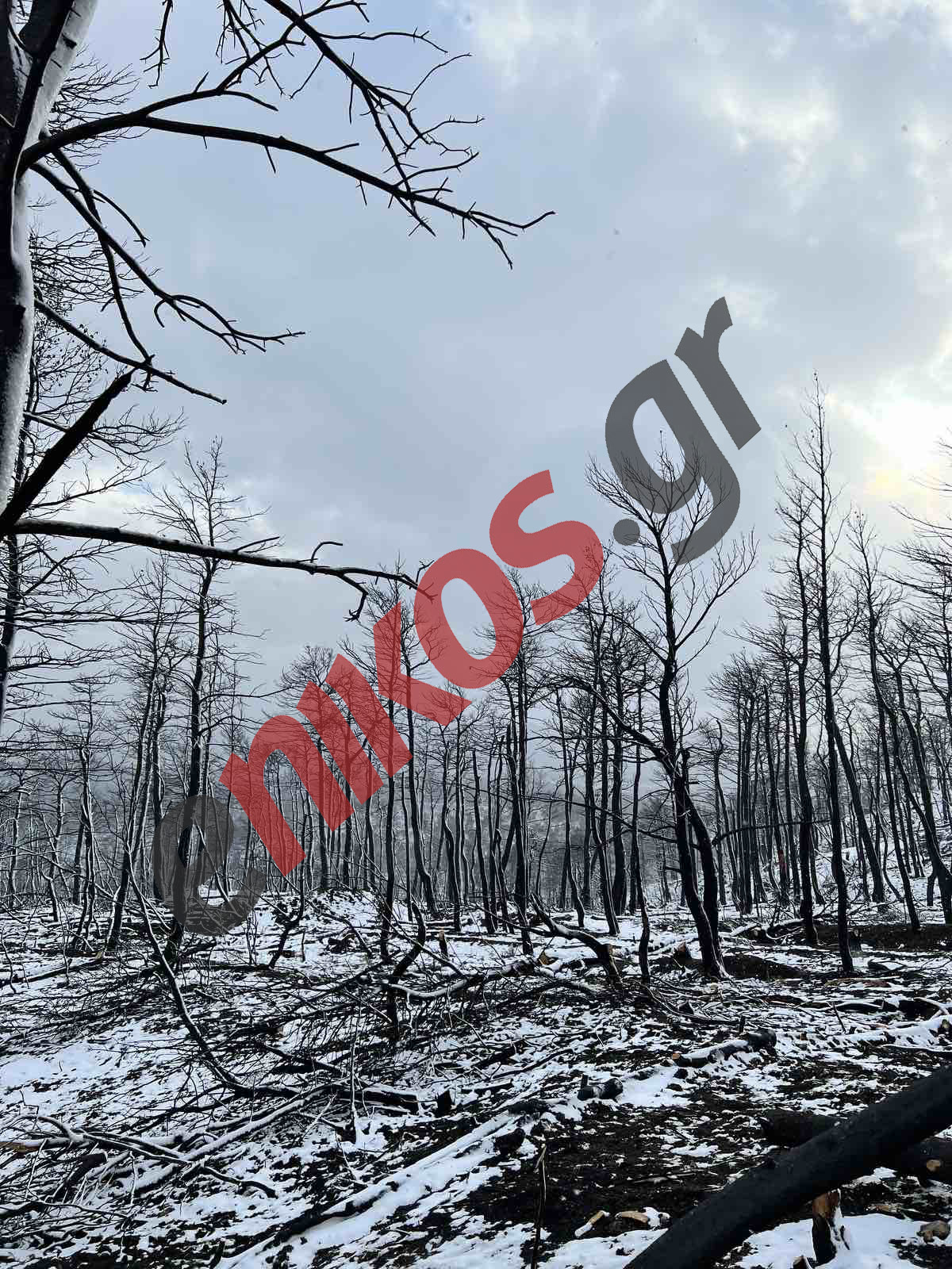 Κακοκαιρία “Ελπίς” Βαρυμπόμπη