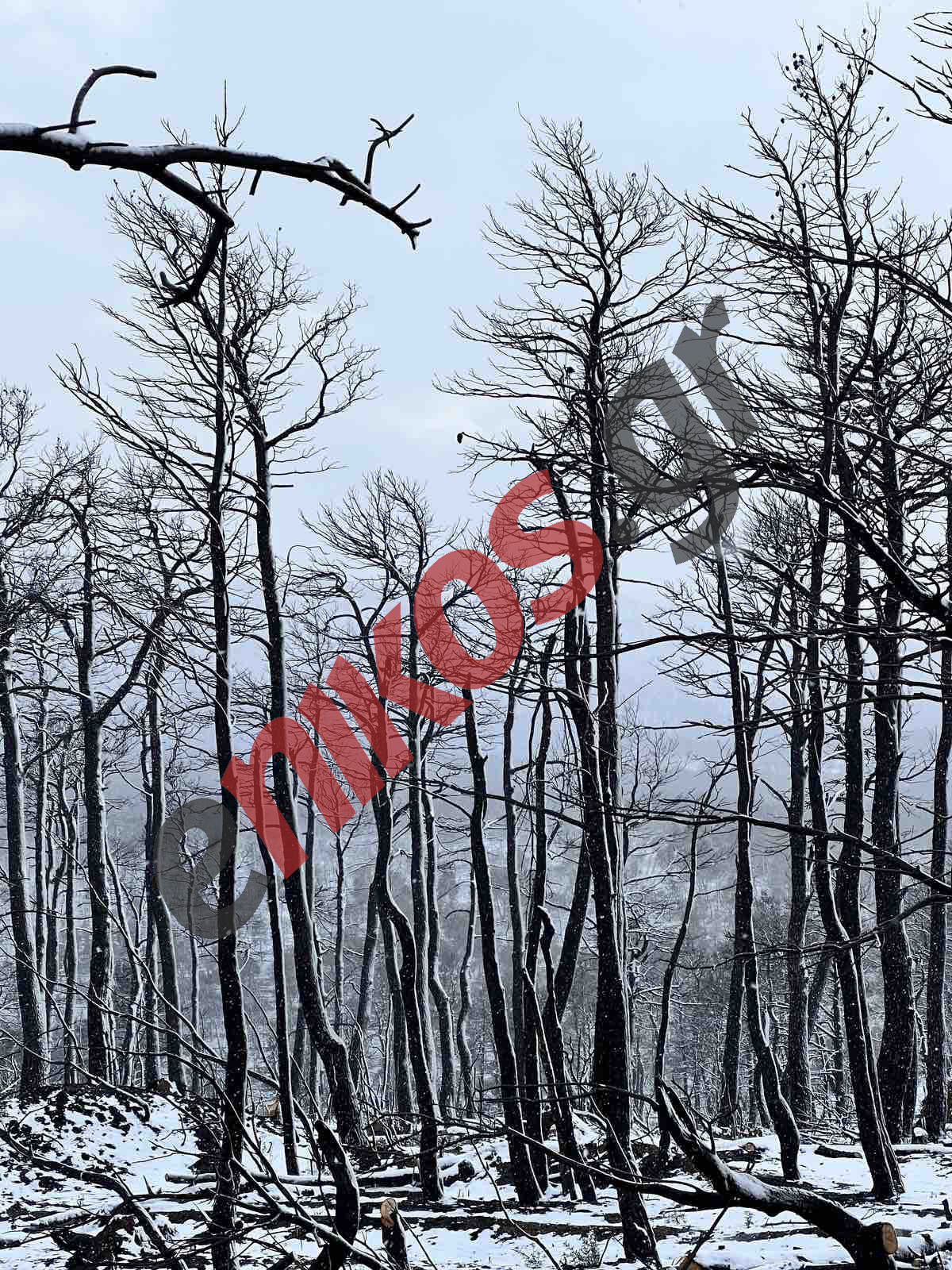 Κακοκαιρία “Ελπίς” Βαρυμπόμπη