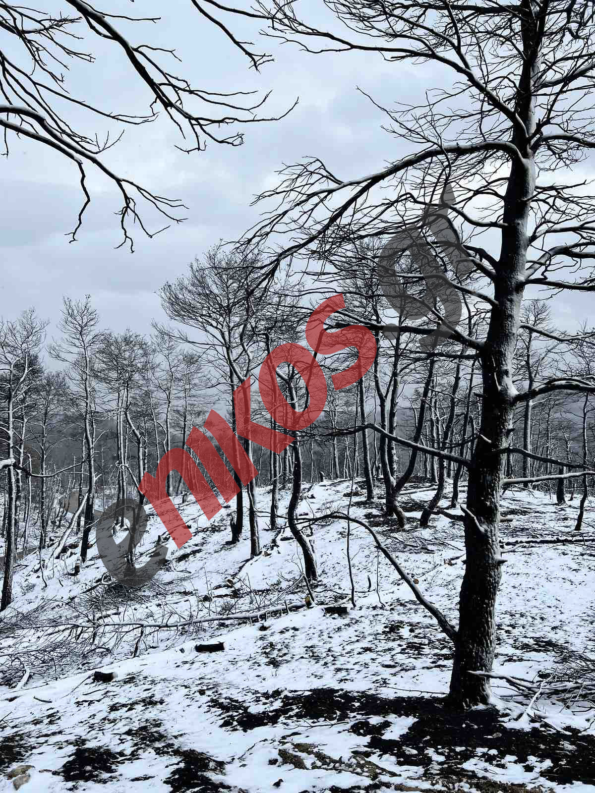 Κακοκαιρία “Ελπίς” Βαρυμπόμπη