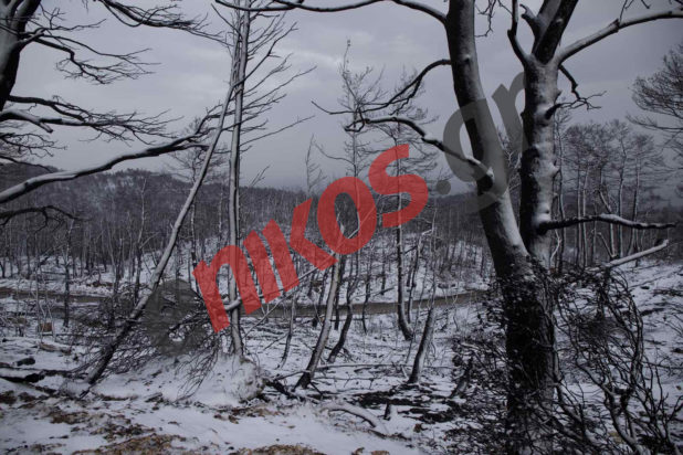 Κακοκαιρία “Ελπίς” Βαρυμπόμπη